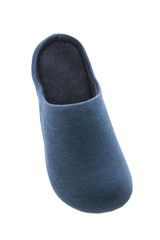Shoe or Slippers for use in home