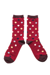 Pair of cotton sock for clothing