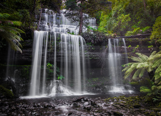 Fototapeta na wymiar Russell Falls - Mt Field National Park - Tasmania, Australia