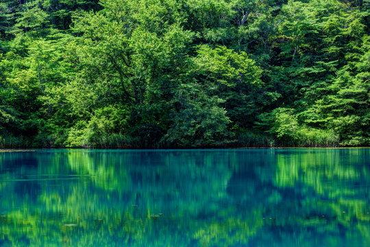 438 Best 毘沙門沼 Images Stock Photos Vectors Adobe Stock