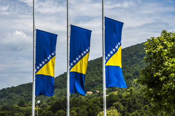 Bosnian flags