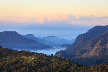 Beautiful summer landscape in the mountains.