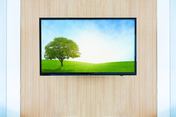 Black LED tv television screen mockup. Landscape grassland on mo