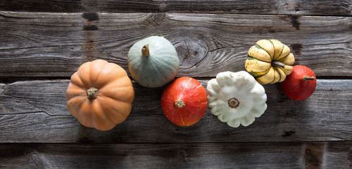 beautiful colorful sustainable pumpkins, squashes, acorn and pattypan, above view