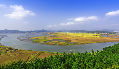 Suncheon bay Ecological Park in South Korea.
