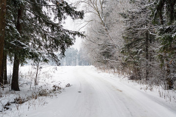 Snowy road in winter forest in cloudy winter day