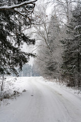 Obraz premium Road in winter forest with snow-covered trees on a cloudy winter day