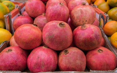 Pomegranates for sale at the city farmers market