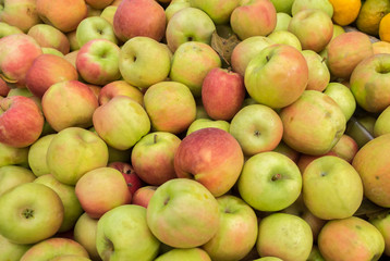 Green red new apples  for sale at city market