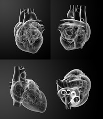 3D rendering of the White heart