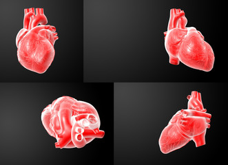 3D rendering of the  red Heart x-ray collection