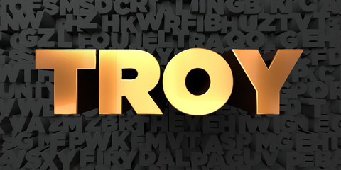 Troy - Gold text on black background - 3D rendered royalty free stock picture. This image can be used for an online website banner ad or a print postcard.