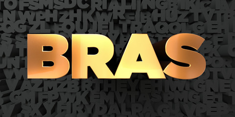 Bras - Gold text on black background - 3D rendered royalty free stock picture. This image can be used for an online website banner ad or a print postcard.