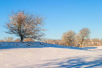 Rural winter landscape with snow and trees
