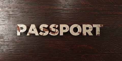 Passport - grungy wooden headline on Maple  - 3D rendered royalty free stock image. This image can be used for an online website banner ad or a print postcard.