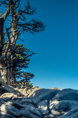 Colorful Tide Pools and Rock Formations in full display at this Nature Wonderland
