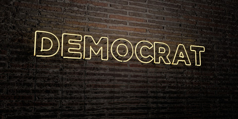 DEMOCRAT -Realistic Neon Sign on Brick Wall background - 3D rendered royalty free stock image. Can be used for online banner ads and direct mailers..