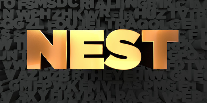 Nest - Gold text on black background - 3D rendered royalty free stock picture. This image can be used for an online website banner ad or a print postcard.