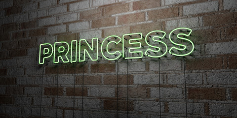 PRINCESS - Glowing Neon Sign on stonework wall - 3D rendered royalty free stock illustration.  Can be used for online banner ads and direct mailers..