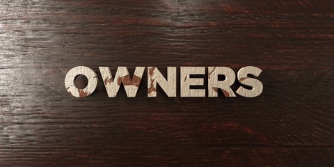 Owners - grungy wooden headline on Maple  - 3D rendered royalty free stock image. This image can be used for an online website banner ad or a print postcard.