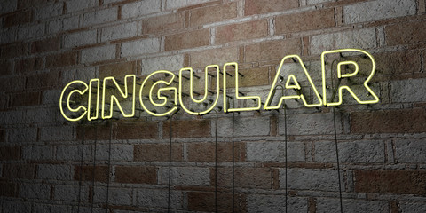 CINGULAR - Glowing Neon Sign on stonework wall - 3D rendered royalty free stock illustration.  Can be used for online banner ads and direct mailers..