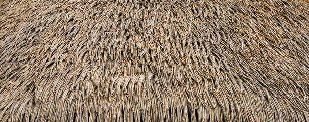 Thatched roof texture background