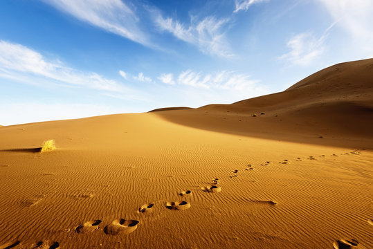 Desert landscape. Gobi, china.Desert footprints