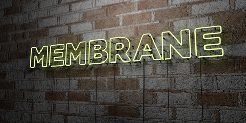 MEMBRANE - Glowing Neon Sign on stonework wall - 3D rendered royalty free stock illustration.  Can be used for online banner ads and direct mailers..