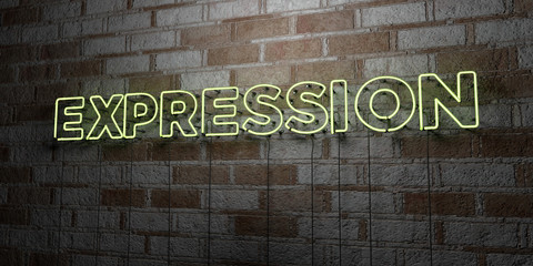 EXPRESSION - Glowing Neon Sign on stonework wall - 3D rendered royalty free stock illustration.  Can be used for online banner ads and direct mailers..