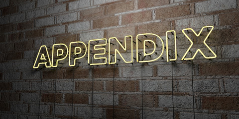 APPENDIX - Glowing Neon Sign on stonework wall - 3D rendered royalty free stock illustration.  Can be used for online banner ads and direct mailers..