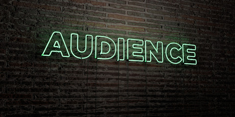 AUDIENCE -Realistic Neon Sign on Brick Wall background - 3D rendered royalty free stock image. Can be used for online banner ads and direct mailers..