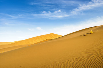 Fototapeta na wymiar Desert landscape. Gobi, china.