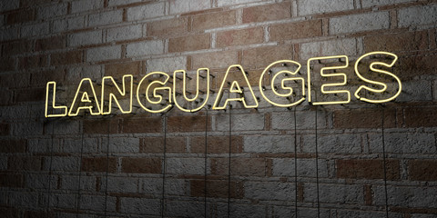 LANGUAGES - Glowing Neon Sign on stonework wall - 3D rendered royalty free stock illustration.  Can be used for online banner ads and direct mailers..