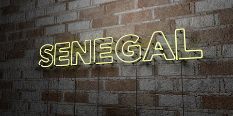 SENEGAL - Glowing Neon Sign on stonework wall - 3D rendered royalty free stock illustration.  Can be used for online banner ads and direct mailers..