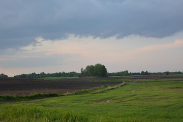 Fototapeta na wymiar beautiful countryside: a plowed field and grains on a background of dark sky