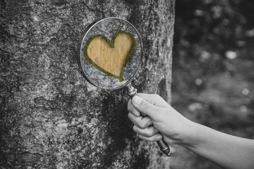 I'm always looking for the true love,memory of vintage color.