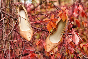 Autumn season in classic style shoes