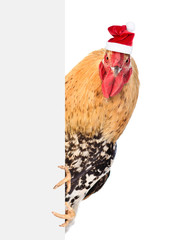 Rooster in red santa hat peeking from behind empty board. isolated on white © Ermolaev Alexandr