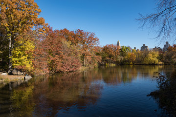 Autumn Colors in Central Park, New York City