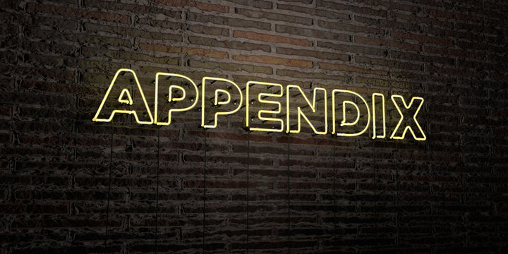 APPENDIX -Realistic Neon Sign on Brick Wall background - 3D rendered royalty free stock image. Can be used for online banner ads and direct mailers..