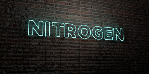 NITROGEN -Realistic Neon Sign on Brick Wall background - 3D rendered royalty free stock image. Can be used for online banner ads and direct mailers..