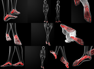 3D rendering illustration of the foot bone