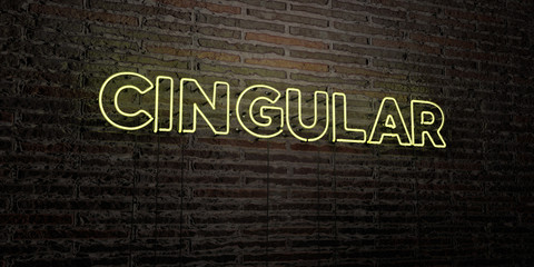 CINGULAR -Realistic Neon Sign on Brick Wall background - 3D rendered royalty free stock image. Can be used for online banner ads and direct mailers..