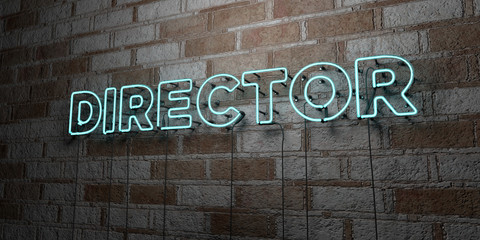 DIRECTOR - Glowing Neon Sign on stonework wall - 3D rendered royalty free stock illustration.  Can be used for online banner ads and direct mailers..