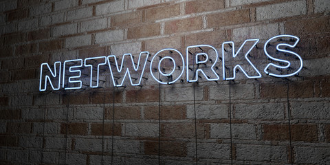 NETWORKS - Glowing Neon Sign on stonework wall - 3D rendered royalty free stock illustration.  Can be used for online banner ads and direct mailers..