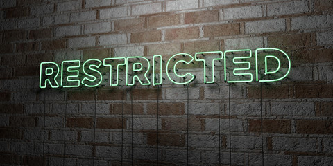 RESTRICTED - Glowing Neon Sign on stonework wall - 3D rendered royalty free stock illustration.  Can be used for online banner ads and direct mailers..