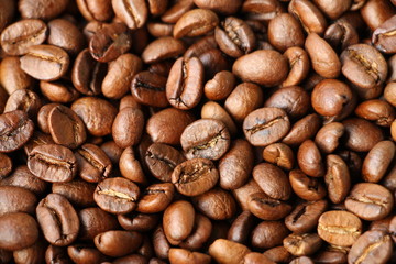 Coffee beans background