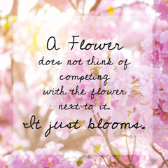 Inspirational quote on pink blossom flowers
