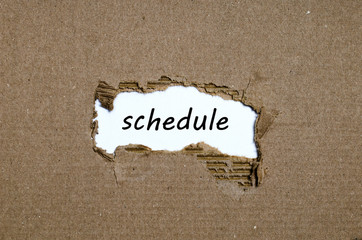 The word schedule appearing behind torn paper