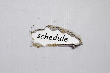 The word schedule appearing behind torn paper